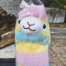 대구제일고등학교 | [2025-11-09 일요일] 대구 달성군 가창 여행 1박2일 2일차 후기