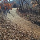 늘목농장 이미지