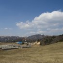 바다 어울림 이미지