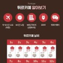여행의정석