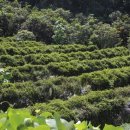 소야농장 이미지