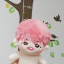 홀리슈 이미지