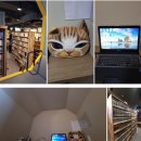 벌툰군산 티스토리