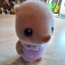 12주만에 왕초보도 작가되는 글쓰기 | 12주차(고양이 사진 잇다 보고 가라)