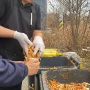 기자농장 이미지