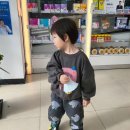 신상구 | 《보보쇼즈 상하세트》보보쇼즈 23FW 코끼리 상하세트, 보보쇼즈 24SS 신상구입전 사이즈고민