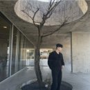 다운타운 상가 앞(대정로 66) | [공지] 부평역 감성미용실 르메르헤어, OPEN 기념 이벤트 &amp; 블로그 체험단 모집!