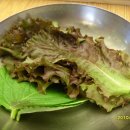 종가집돼지국밥 이미지