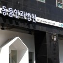 유림동물안과병원 이미지