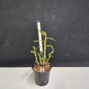 지일농장 이미지