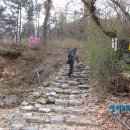 부여(홍산)-04 이미지