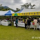 마케팅프리