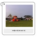 새들가든 | 14개월 아기랑 파주 퍼스트가든 불빛축제 방문 후기
