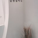 살롱 딜라잇