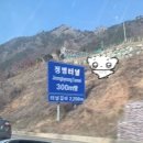 개미캐리커쳐 | 모시모시 키코에테루?