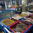 통영농협하나로마트 이미지