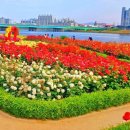 이뻐지는산책 이미지