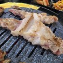 꼴통갈매기