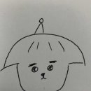 프롬퍼피 이미지