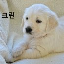 성림크린 이미지