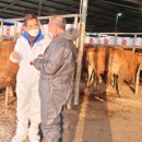 은경축산 이미지