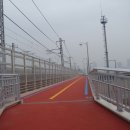 보행자전용도로 1-1 이미지