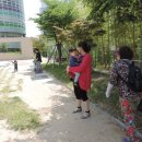 용호초등학교 이미지