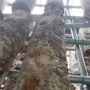 수봉농장 이미지