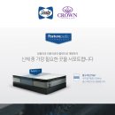 쥬얼퀸