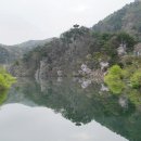 용태울 Daum카페
