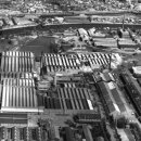 낙지천지 이미지