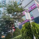 으뜸플러스안경 목동점 | 신정네거리안경 으뜸플러스안경 목동점 5만원으로 안경득템 후기