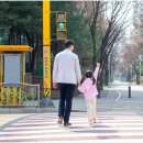 주정차-35 이미지
