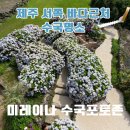 풍차와노을 | 제주 미레이나 카페 수국·신창 풍차 해안도로에서 만나는 서쪽 바다근처 수국 명소