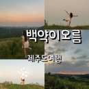오름농장 | 제주 백약이오름 포토존 주차,등산시간,일몰뷰 후기 (화장실 없음)