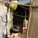 정자리농장 이미지