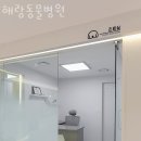 해랑동물병원 | 고양 토당동 동물병원 해랑동물병원 위치 오는길 후기