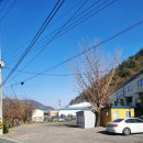 돌티미식당 이미지