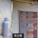 완도고무