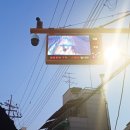 선곡초교 서울신문