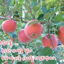 청송사과 - 서구 벌곡로 656 | 청송사과