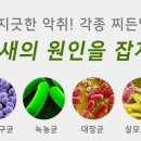 비바모텔 이미지