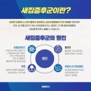 대성태권도 이미지