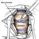 연세광혜병원 이미지