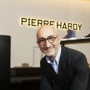 더 아르디 이미지