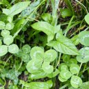 새말길R | 십년만에 블로그와 쌍방사랑 시작.