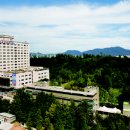 웰스메디텍 이미지