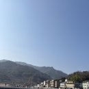 화개면 | 1월 하동 여행①: 화개장터, 쌍계사(하동 당일치기, 하동 겨울 여행)