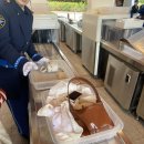 이찌 서면점 | 유니버셜 스튜디오 재팬 익스프레스 패스권 솔직 후기: 돈값 할까? (ft. 닌텐도 월드 &amp; 해리포터 &amp; 워터...