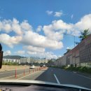 샛들민박 | 청도 계곡 펜션 평상빌려서 재미있게 놀다왔어요! 샛들펜션 후기